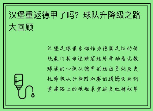 汉堡重返德甲了吗？球队升降级之路大回顾